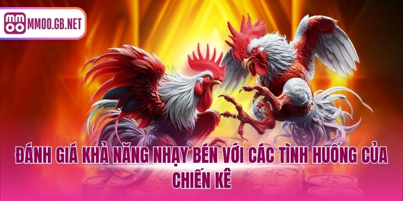 Đánh giá khả năng nhạy bén với các tình huống của chiến kê