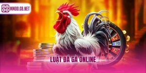 Luật Đá Gà Online