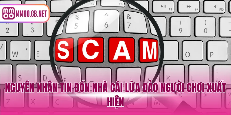 Nguyên nhân tin đồn nhà cái lừa đảo người chơi xuất hiện